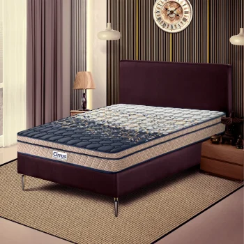 Cirrus Eco Plush Euro Top